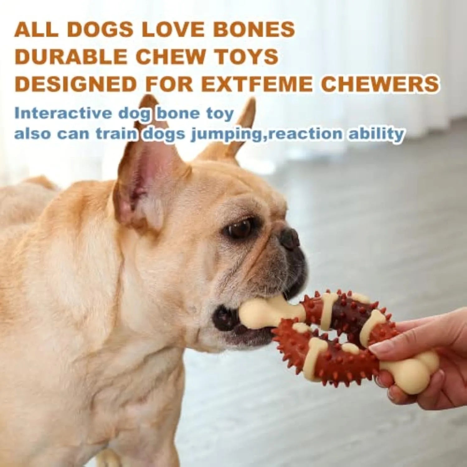 Natural rubber bone-shaped dog molar toy for teeth cleaning and anxiety relief in two size options