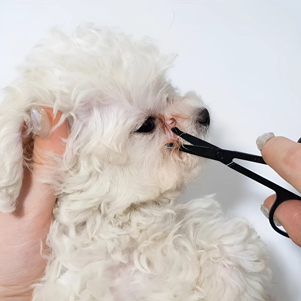 Black ambidextrous pet grooming brush with soft bristles and a separate comb attachment for dogs and cats.