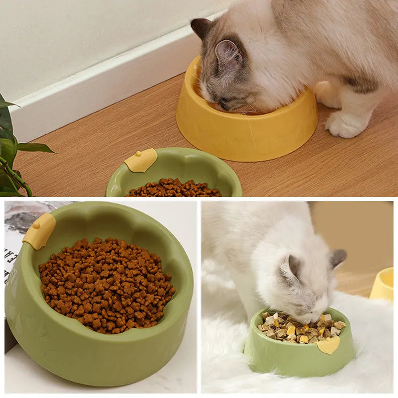 Green plastic pet double bowl with food and water compartments showing anti-tipping design