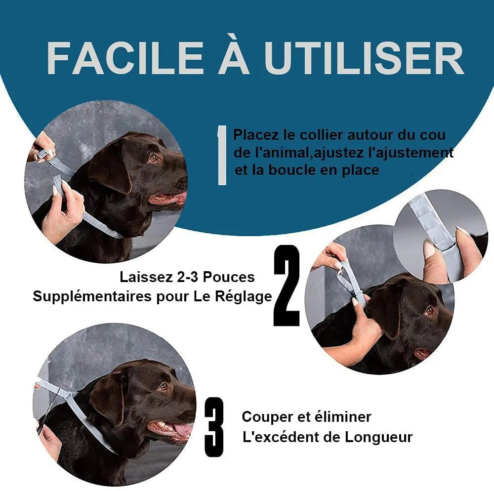 Rainbow packaged flea prevention collar for cats and dogs in plastic construction