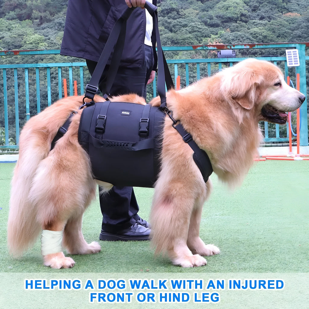 Black Oxford cloth dog rehabilitation harness with leg support and breast strap.