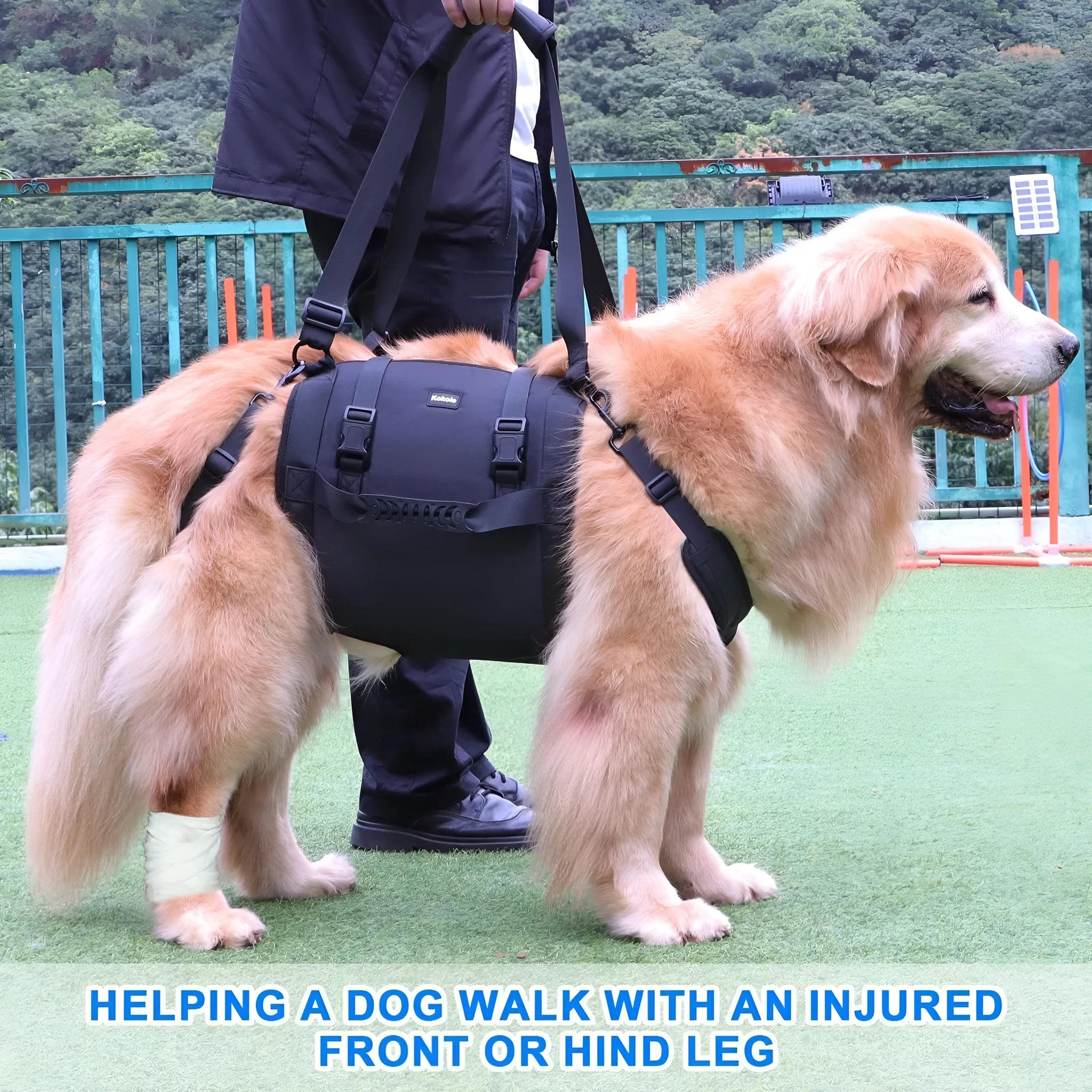 Black Oxford cloth dog rehabilitation harness with leg support and breast strap.