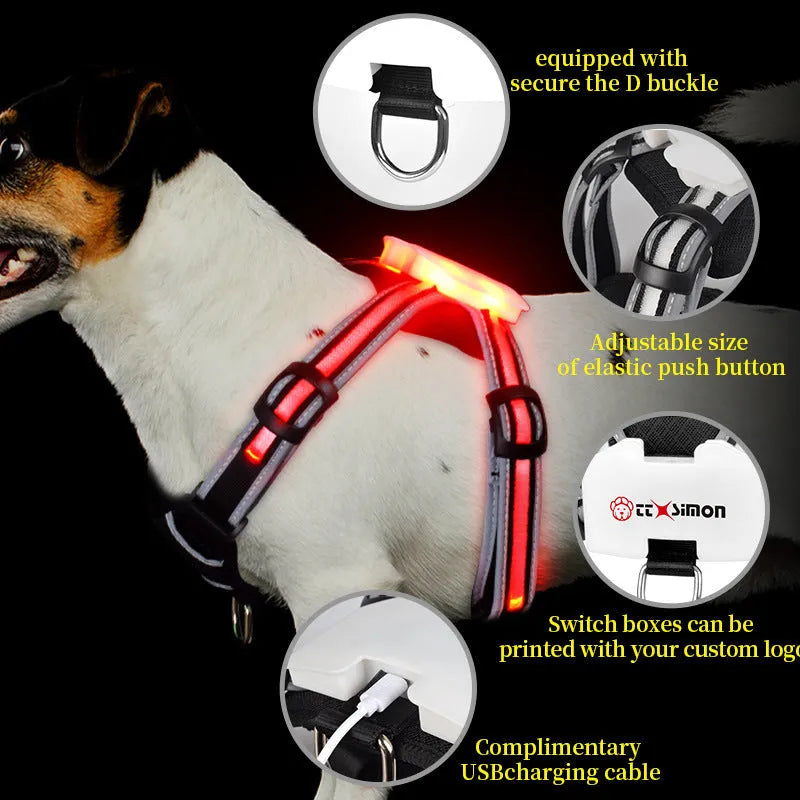 Seven-colour changing LED dog walking lead with USB charging cable in waterproof nylon