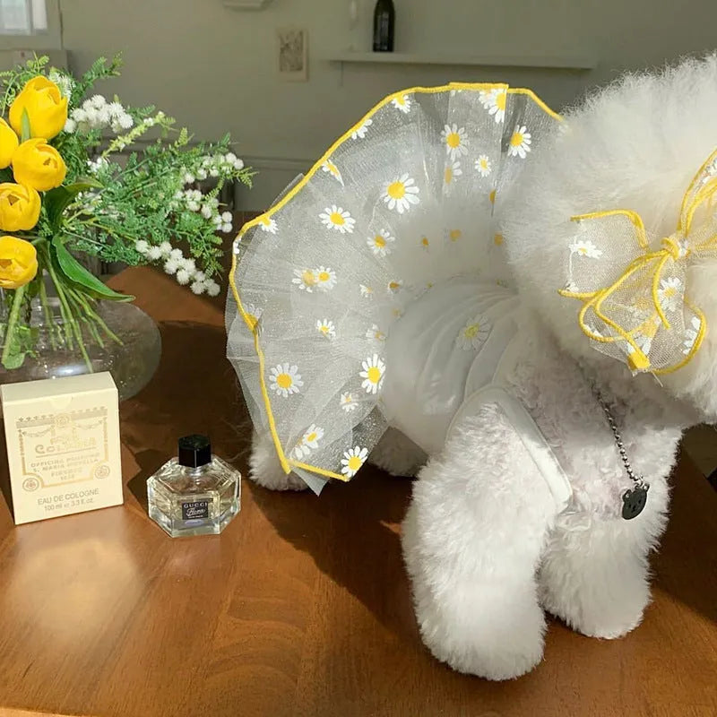 Yellow little daisy patterned dog summer clothes in thin polyester fabric