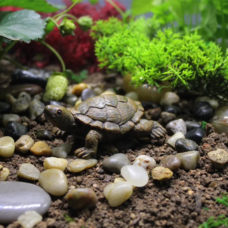 Small resin simulation turtle ornament for miniature garden and terrarium decoration.