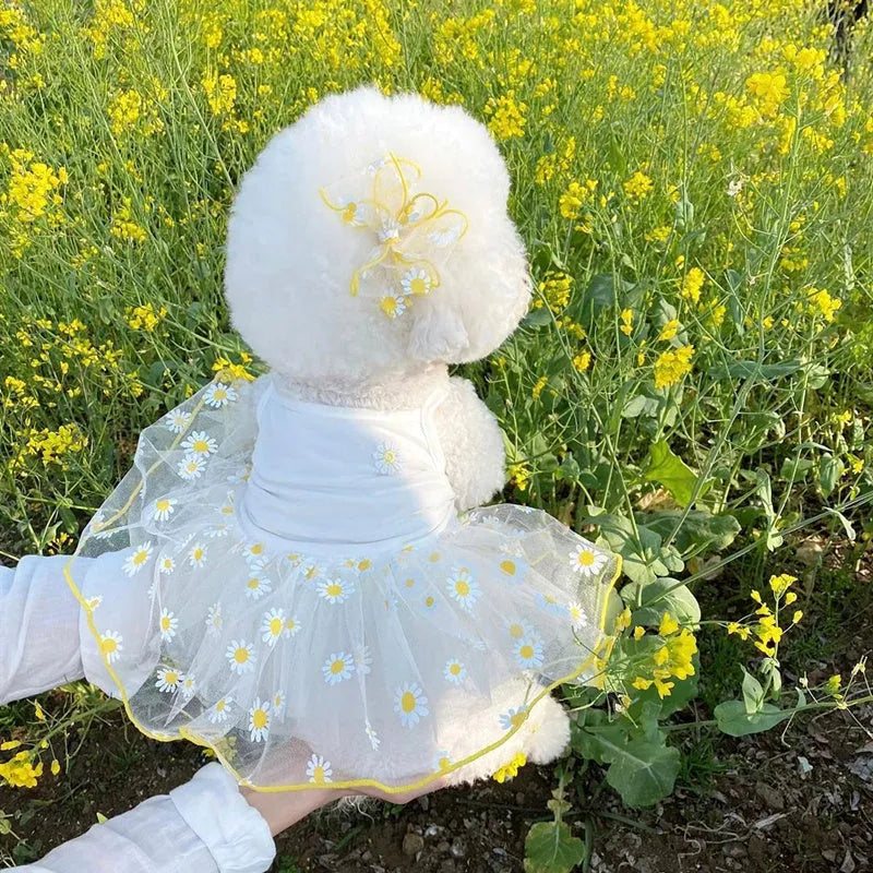 Yellow little daisy patterned dog summer clothes in thin polyester fabric