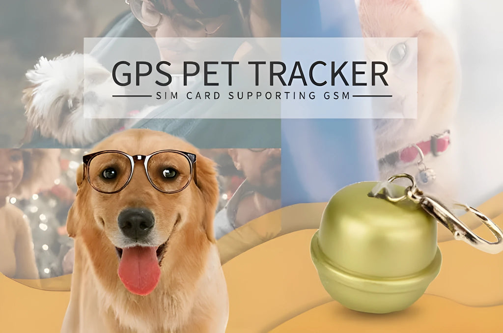 GPS dog tracking collar unit attached to adjustable strap in black, shown with mobile app display