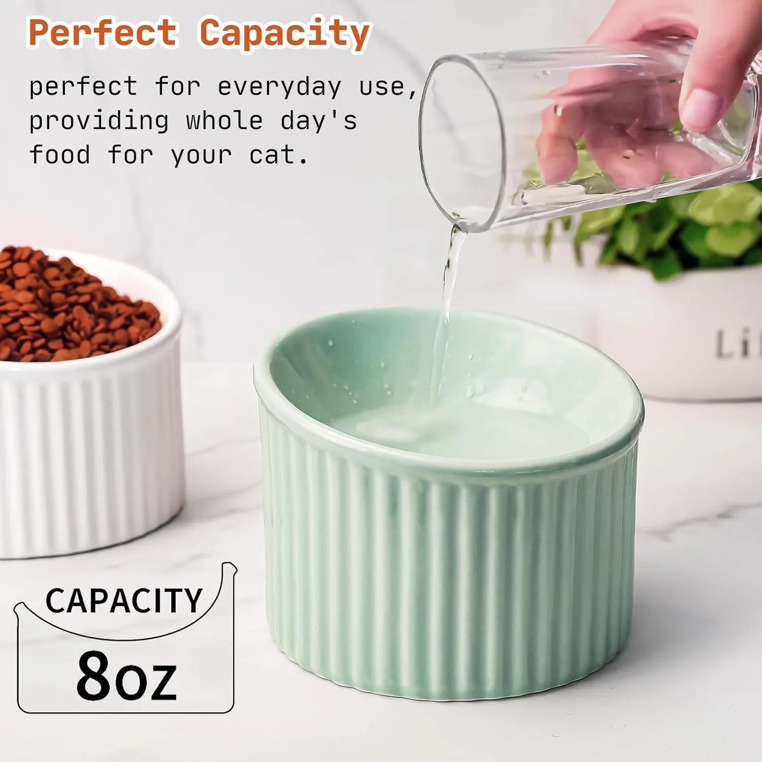 Ceramic elevated cat bowl in green colour showing tilted design for whisker comfort