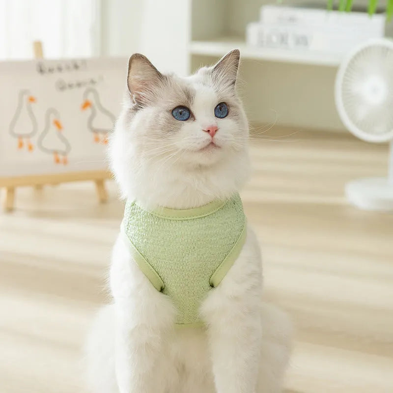 Hollowed-out breathable cat clothes with bear patch design in knitted fabric