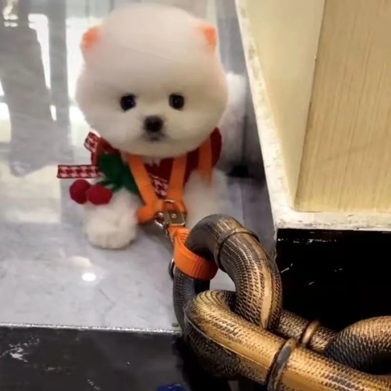 Dog leash simulation prop rope in bronze, antique silver or black colour for video content creation