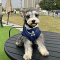 Blue slim-fit pet hoodie with reflective lettering shown on a dog, size options displayed
