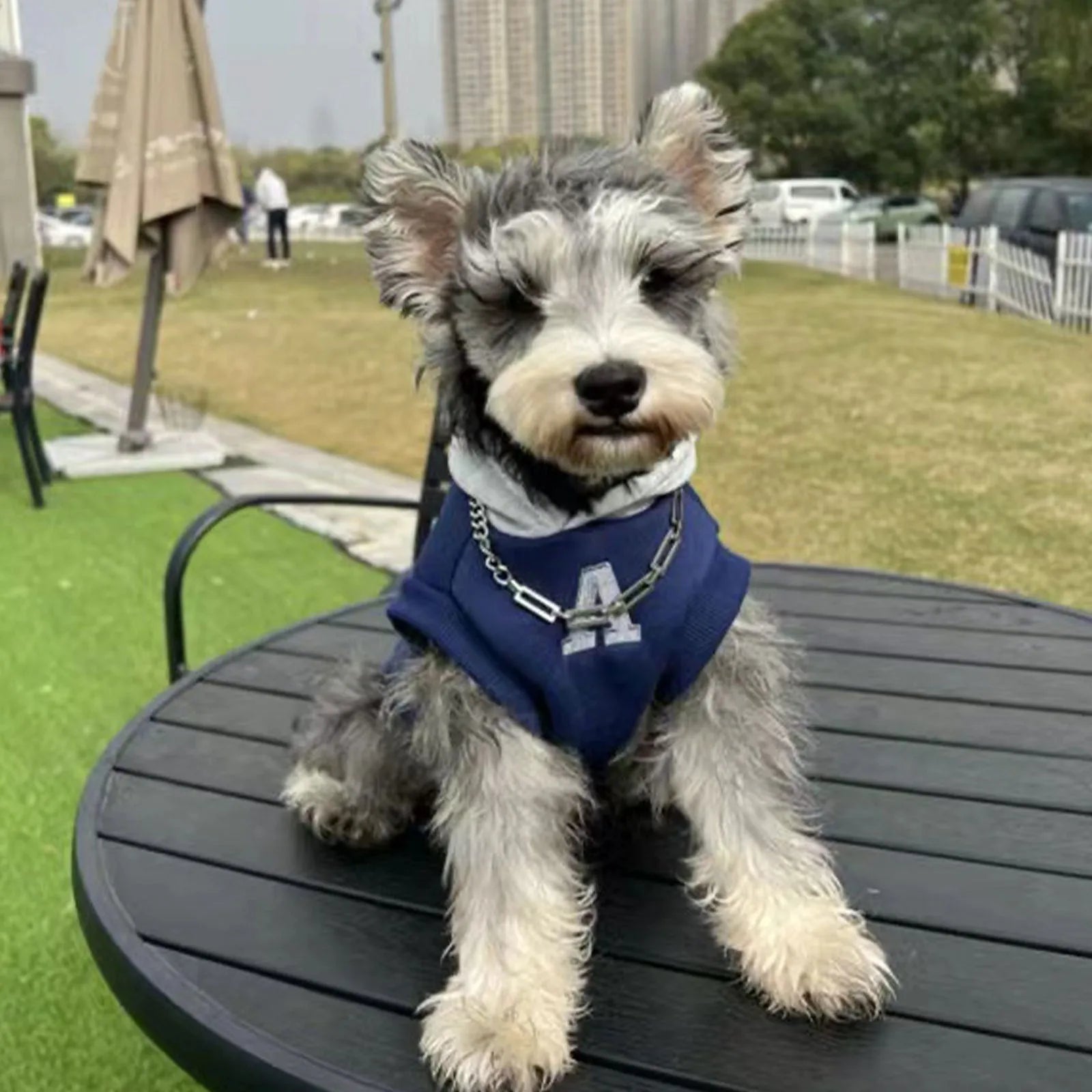 Blue slim-fit pet hoodie with reflective lettering shown on a dog, size options displayed