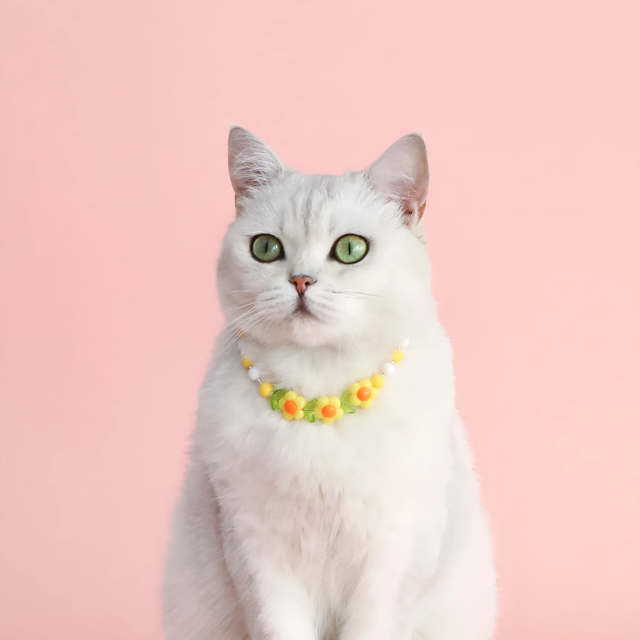 Colourful plastic pearl pet necklace with flower charm in rainbow, peach or small flower patterns