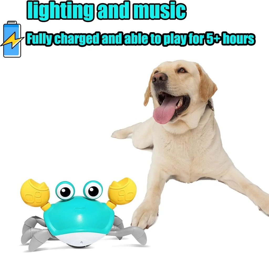Blue electronic crawling crab dog toy with obstacle avoidance sensors on floor