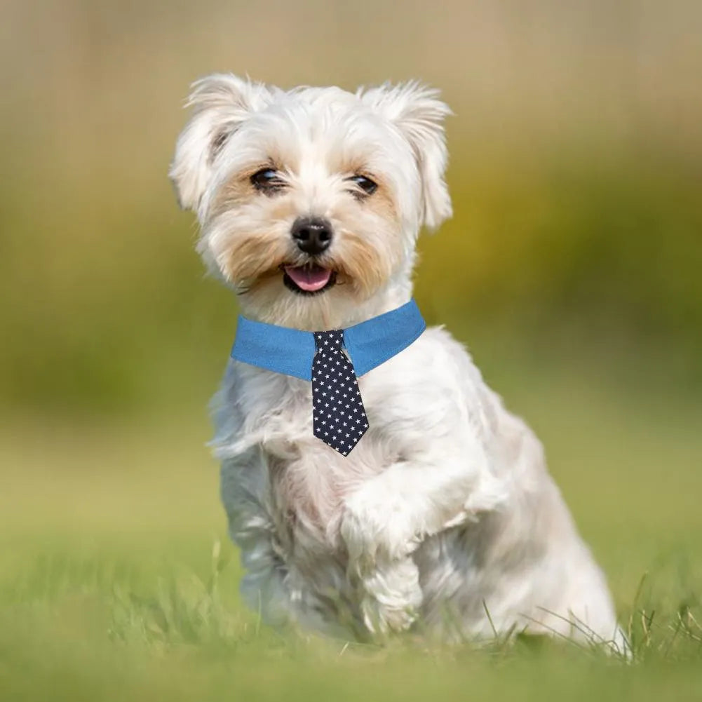 Denim dog collar with an attached red star pattern necktie, showing the adjustable fastener tape closure.