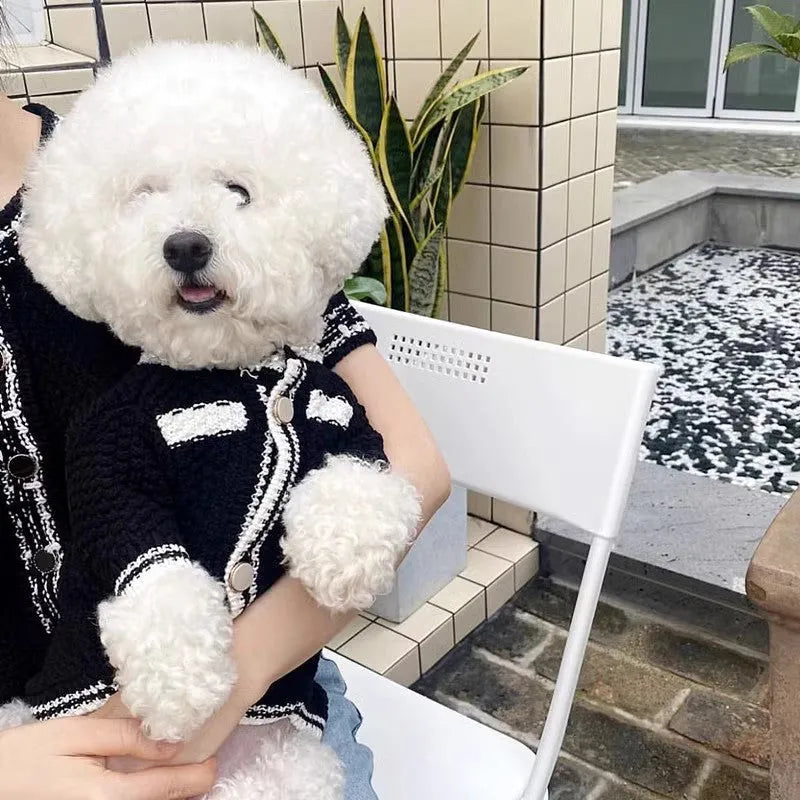 White Korean-style dog sweater with pearl collar detail on a small dog, showing the princess cut and knitted texture.
