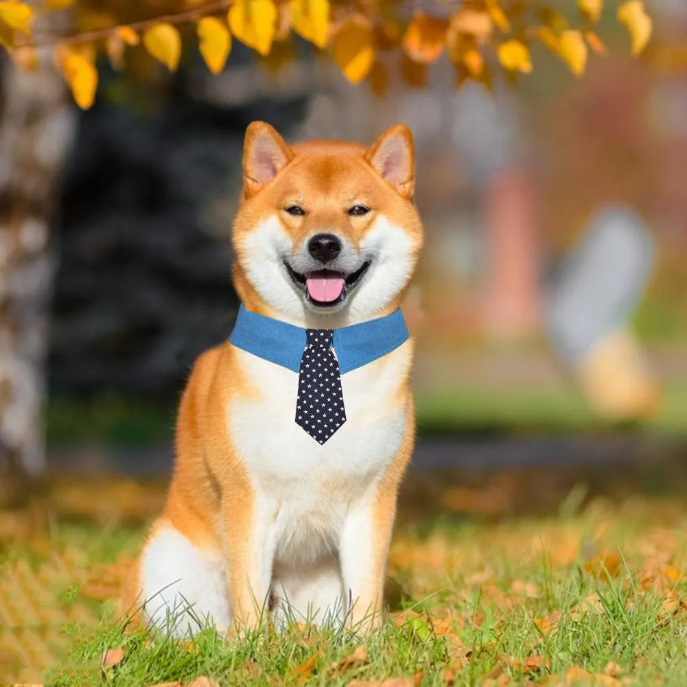 Denim dog collar with an attached red star pattern necktie, showing the adjustable fastener tape closure.