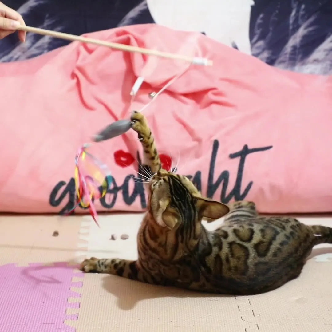 Cat wand toy with wooden handle, colourful ribbons, catnip fish and bell for interactive play with cats