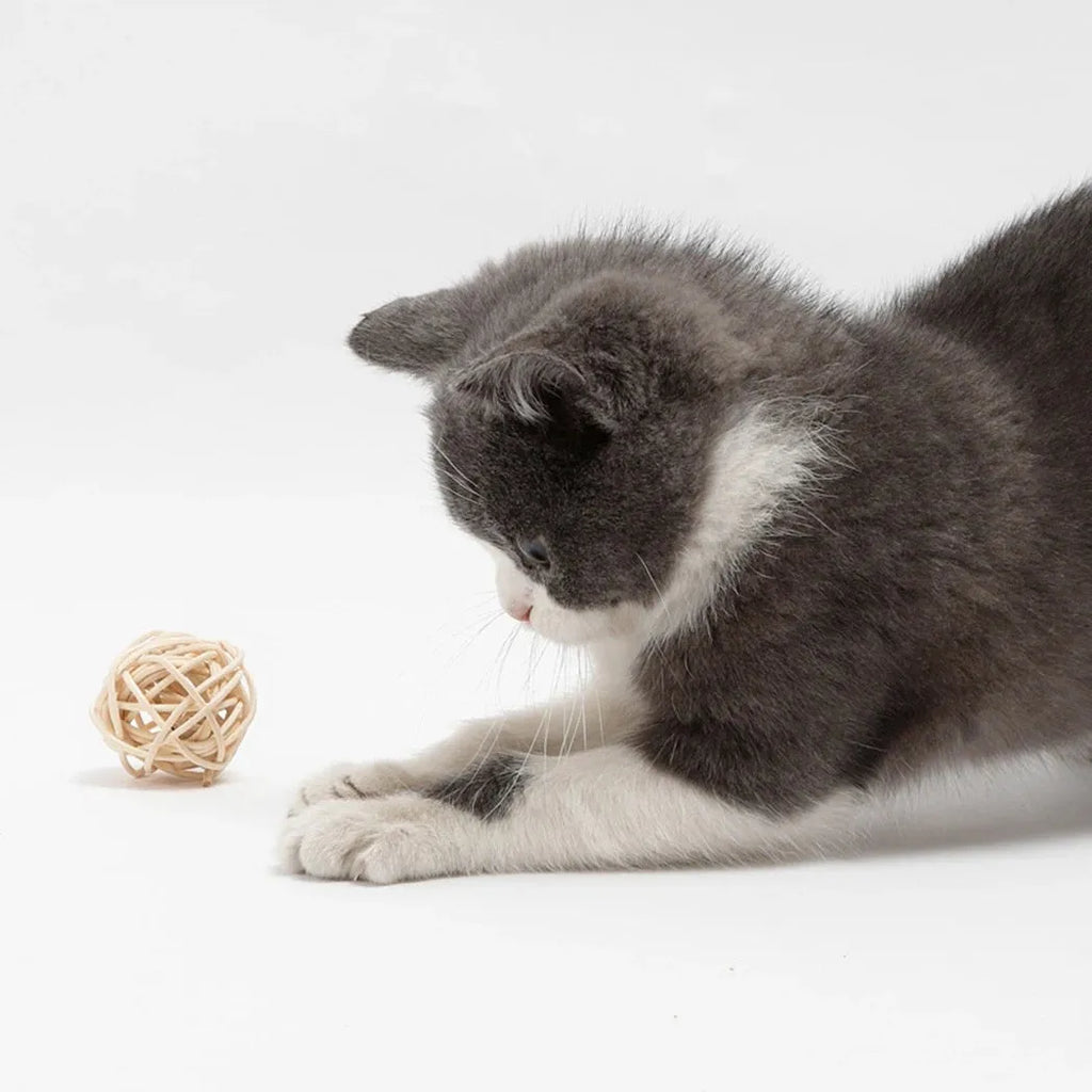 Two cat toys: rattan ball with bell and faux feather ball on rattan base for interactive feline play