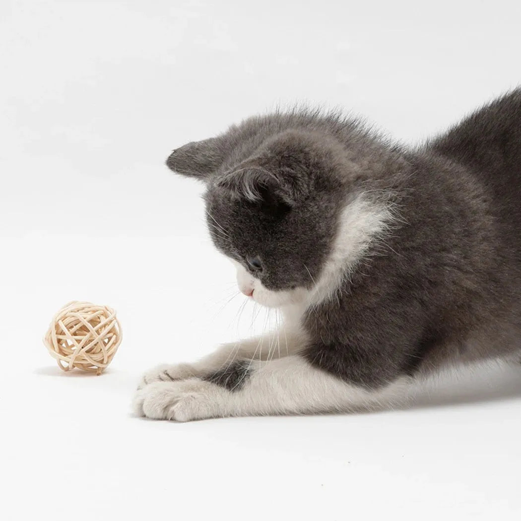 Two cat toys: rattan ball with bell and faux feather ball on rattan base for interactive feline play
