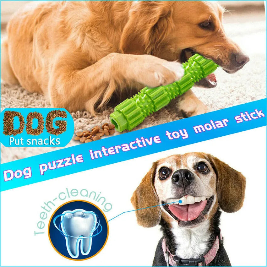 Green and orange rubber dog chew toy with treat dispensing opening and textured cleaning surfaces