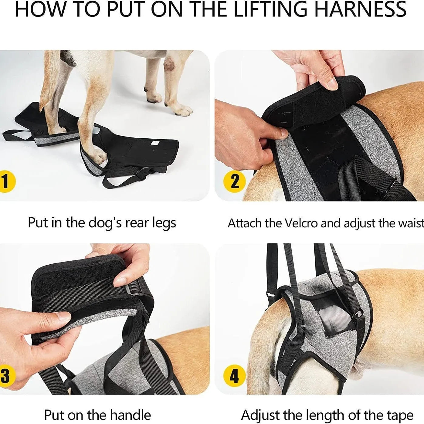 Neoprene dog rear leg recovery belt showing adjustable waist and thigh support for injured dogs