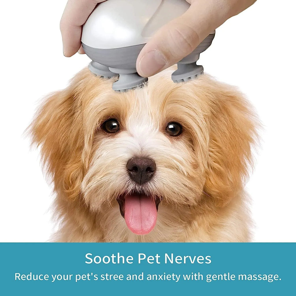 Blue handheld electric pet massager with rotating heads on a white background.