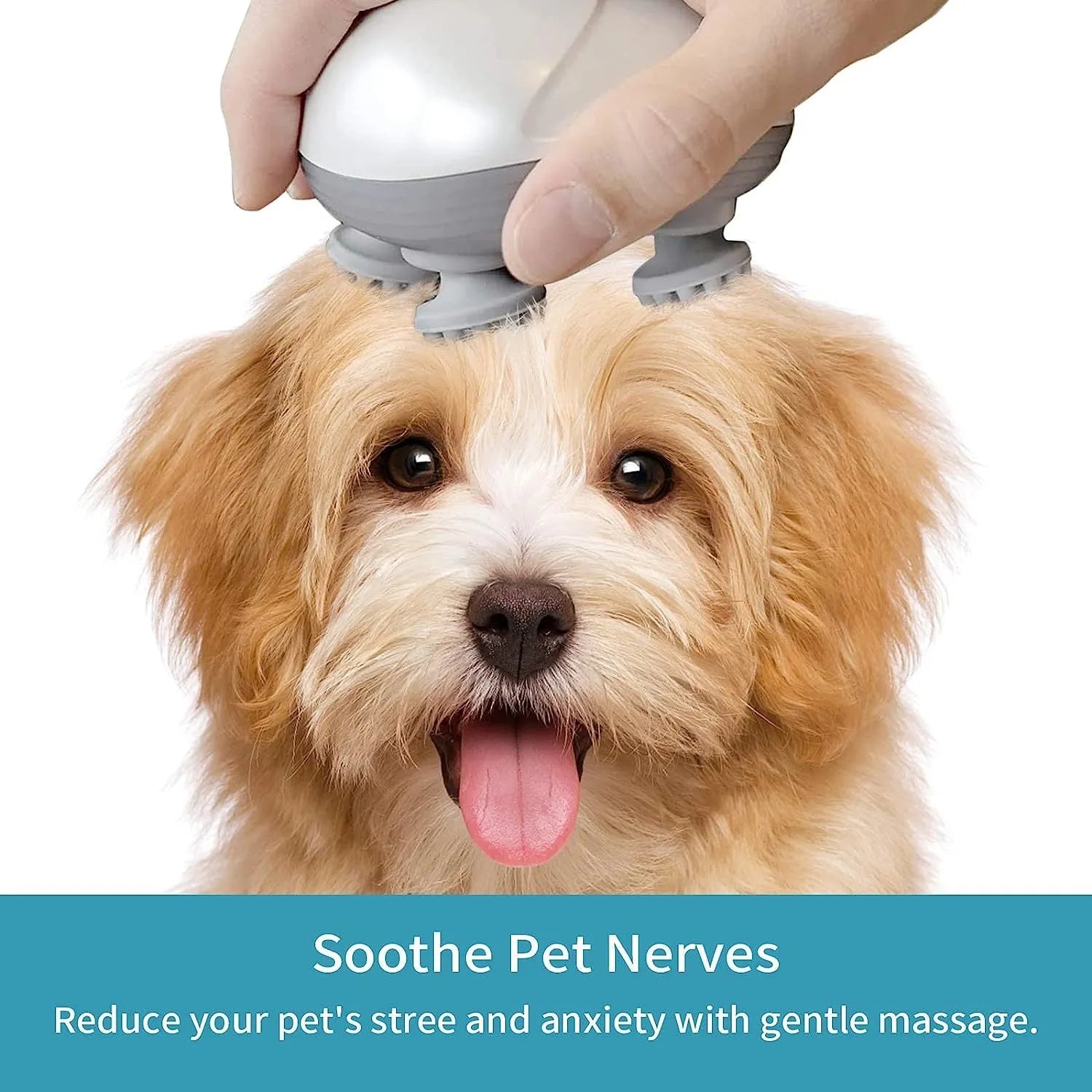 Blue handheld electric pet massager with rotating heads on a white background.
