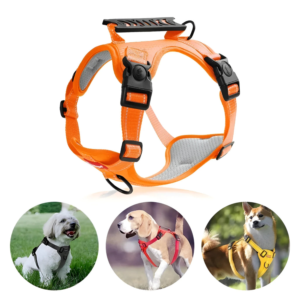 Multi-colour polyester dog chest harness with attached lead in sizes for small to large breeds.