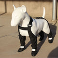 Doggie Strap Paw Protectors waterproof dog shoes in black with non-slip sole