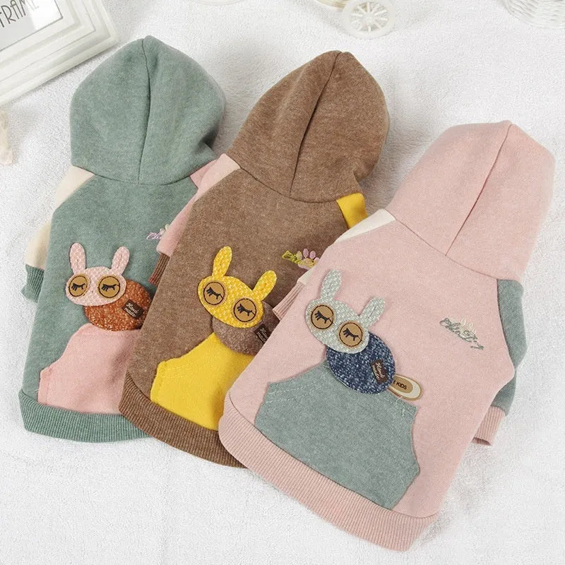Brown cotton pet sweatshirt for a small dog on a sofa.