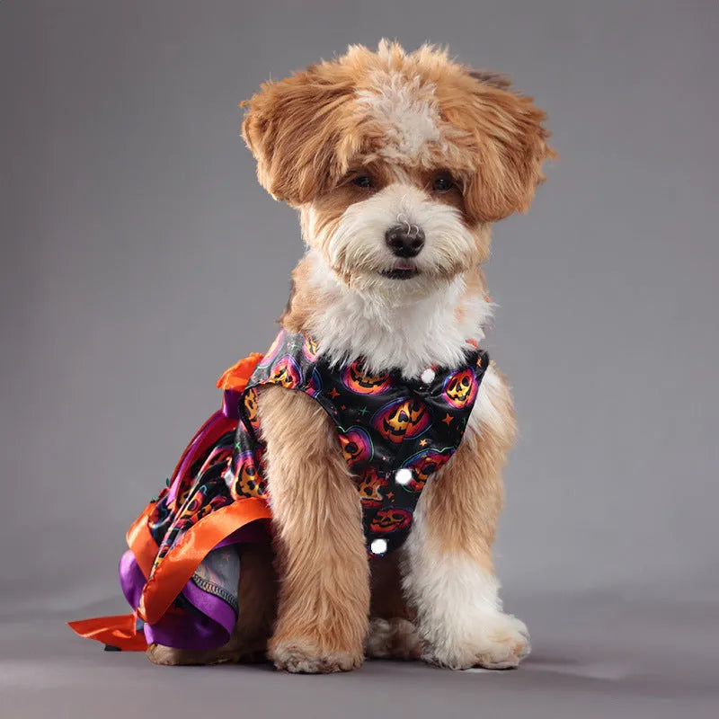 Double-layer Halloween dog skirt with colourful pumpkin print in size M on mannequin