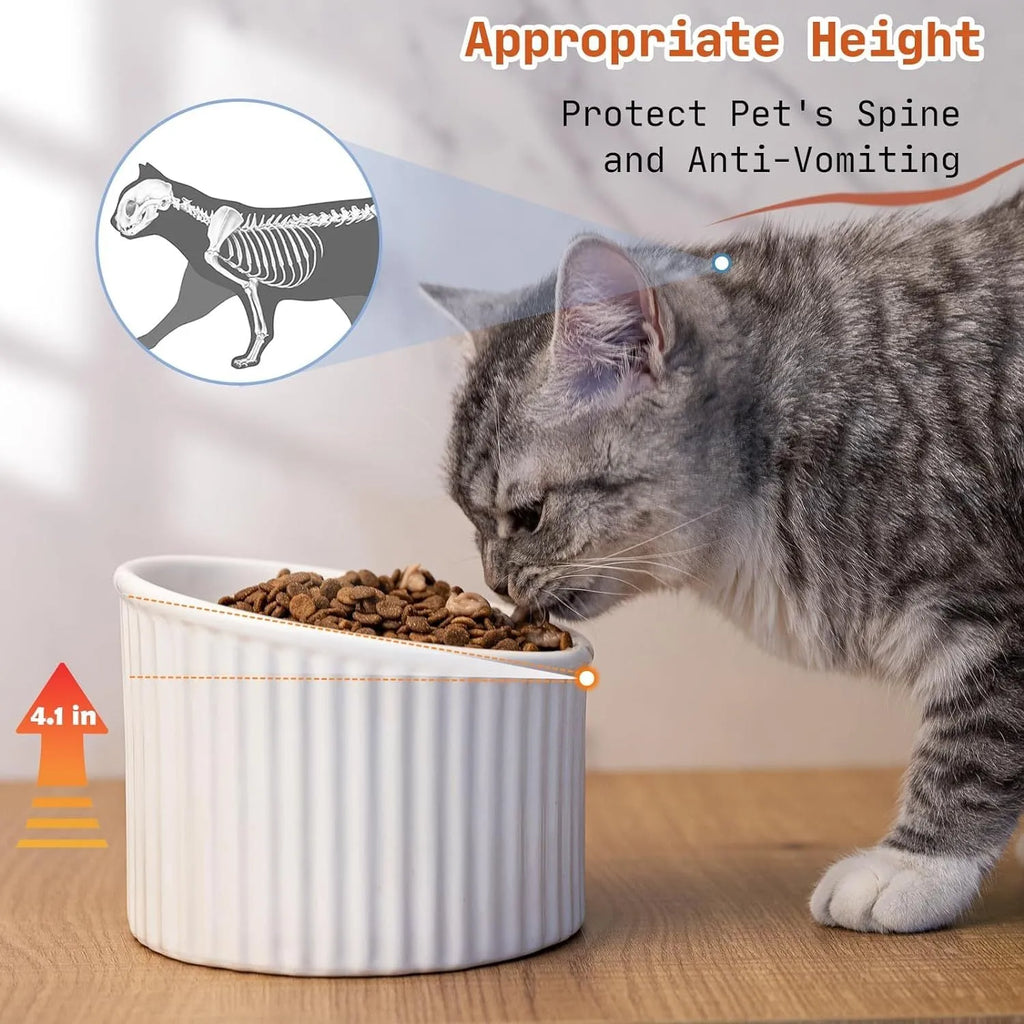 Ceramic elevated cat bowl in green colour showing tilted design for whisker comfort