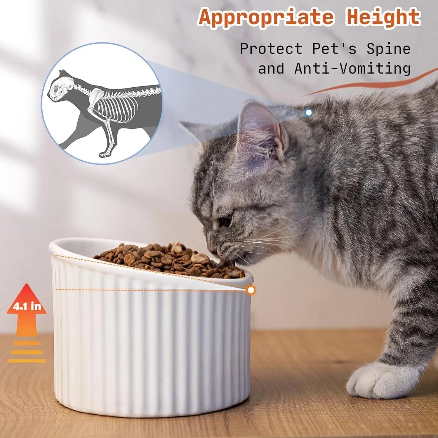 Ceramic elevated cat bowl in green colour showing tilted design for whisker comfort