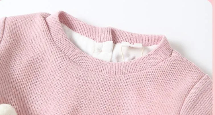 Baby girl pink plus velvet dress with long sleeves and mesh detail