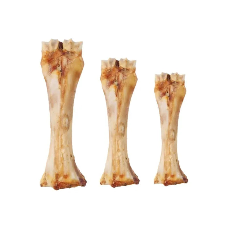 Puppy dental chew toy for teeth cleaning and training with roasted ox bone flavour in three sizes