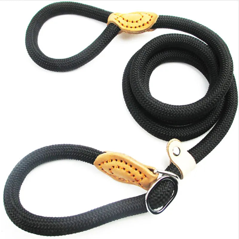 Brown nylon dog leash with P-chain connection showing 2.1 metre length