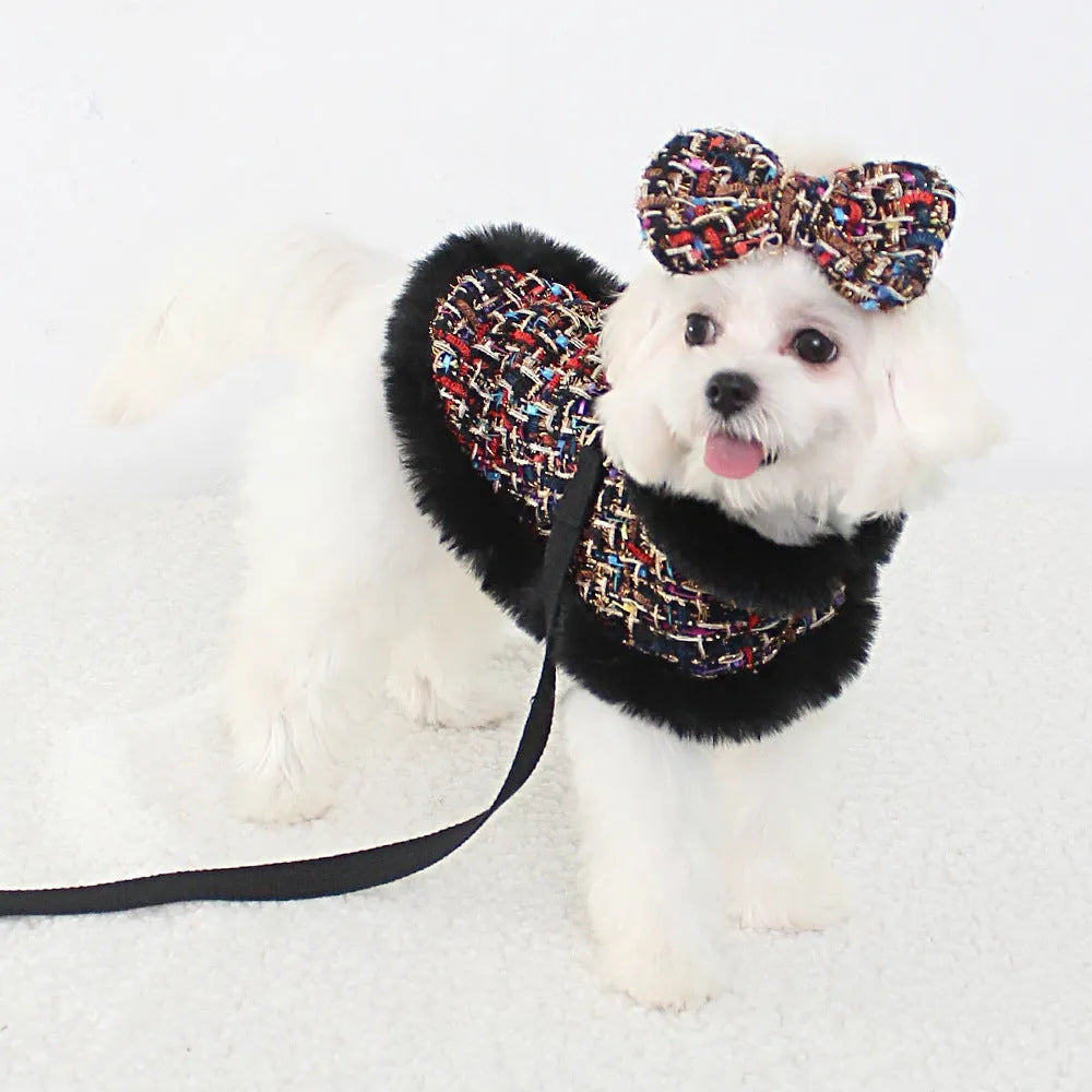 Dog wearing a decorative cloak with a chest strap and attached lead rope