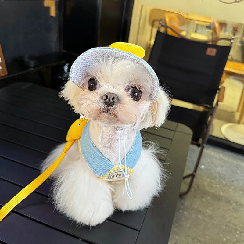 Pet harness and leash set with wire pulling rope and cute hat for dogs and cats