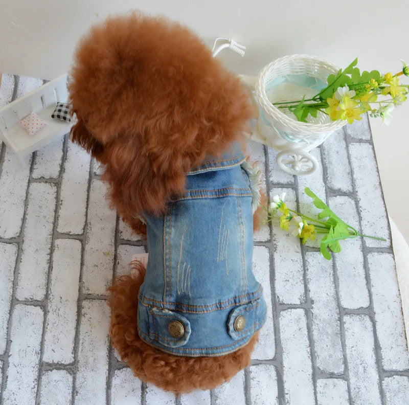 Small dog wearing a denim vest with a retro scratch pattern in a light wash colour.
