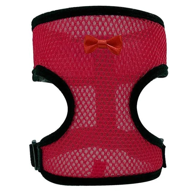 Coloured chicken harness vest with attached collar and long rope for pet poultry walking control