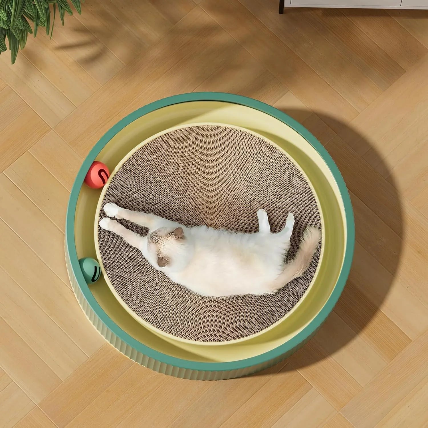 Large circular cat scratching board with built-in ball toys and replaceable cardboard core