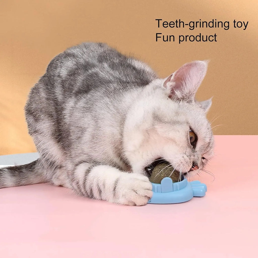 Blue carrot-shaped catnip ball toy with self-adhesive sticker for wall mounting and teeth cleaning