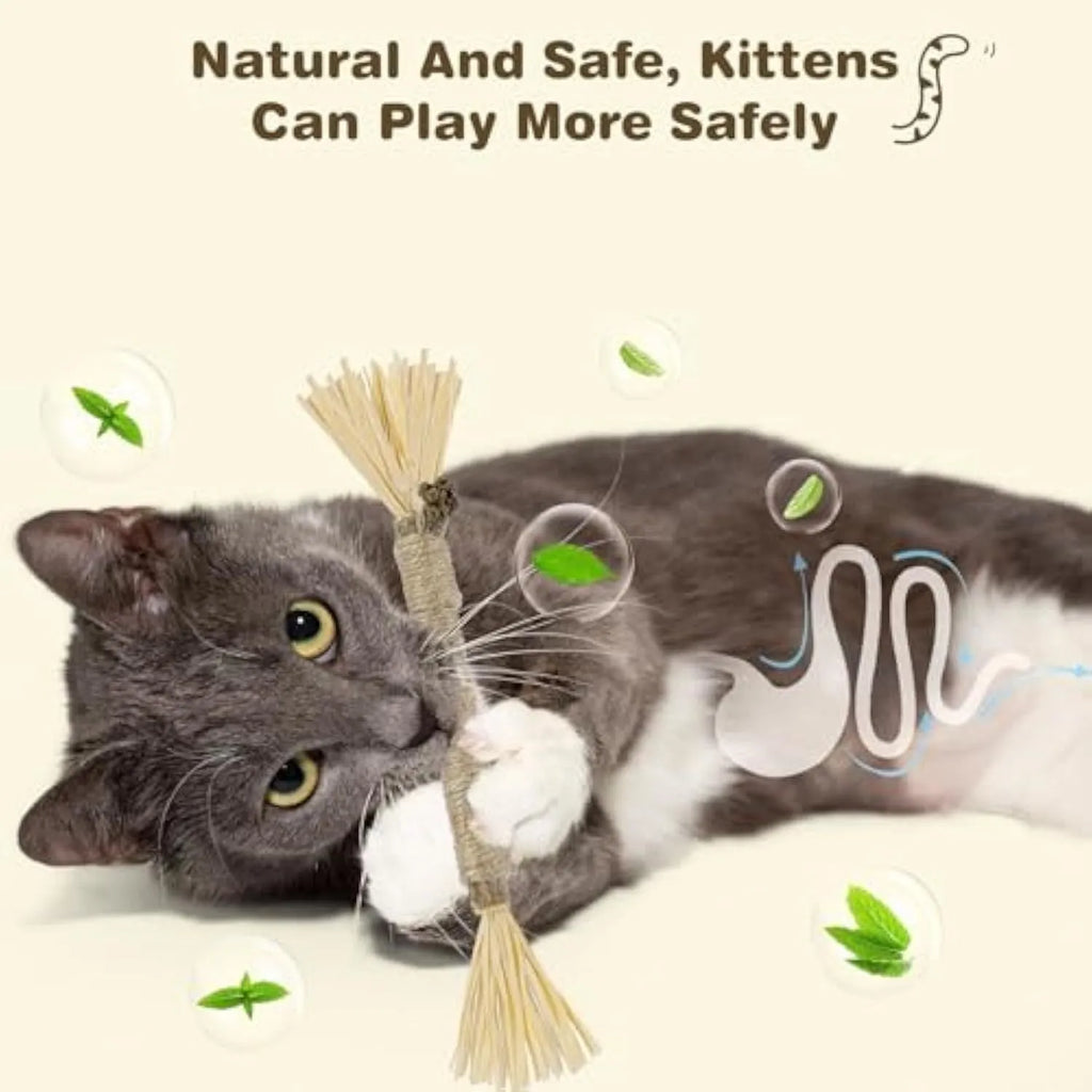 Three natural silvervine sticks for cats dental chew toys showing thick and fine diameter options