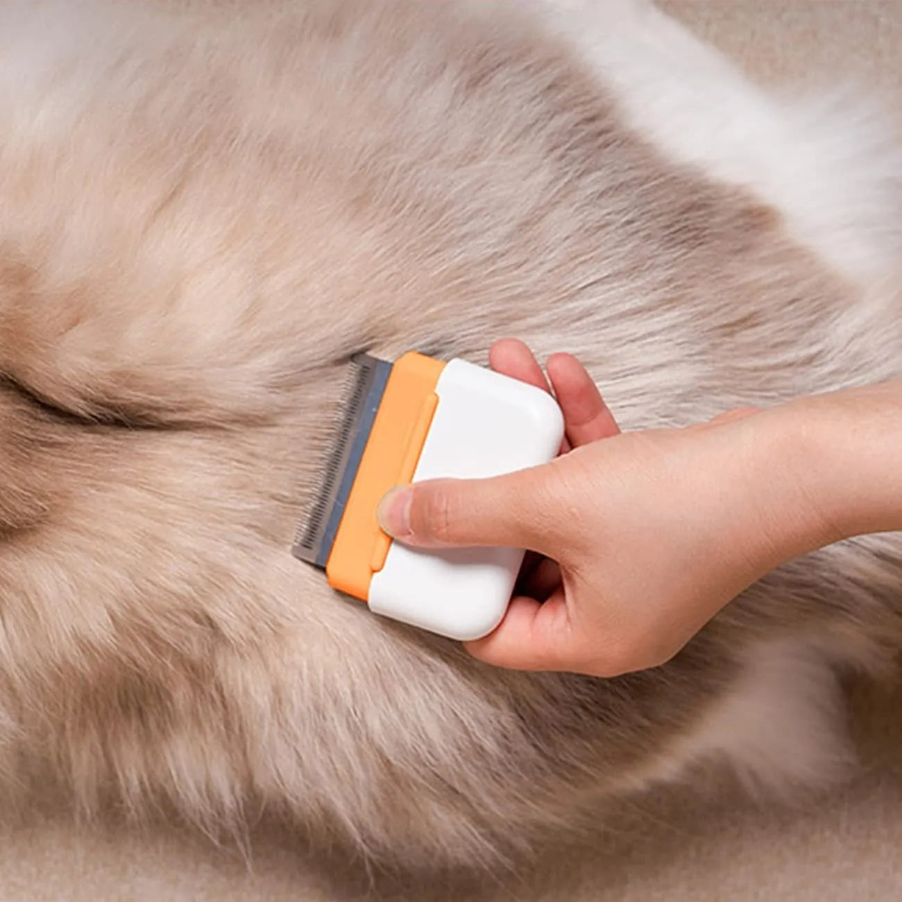 Blue double-sided pet grooming comb with stainless steel teeth and soft bristles on a white background.