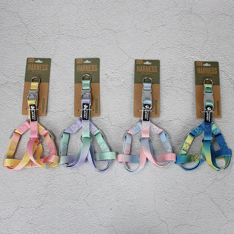 Gradient colour nylon dog leash in pink and blue gradient design