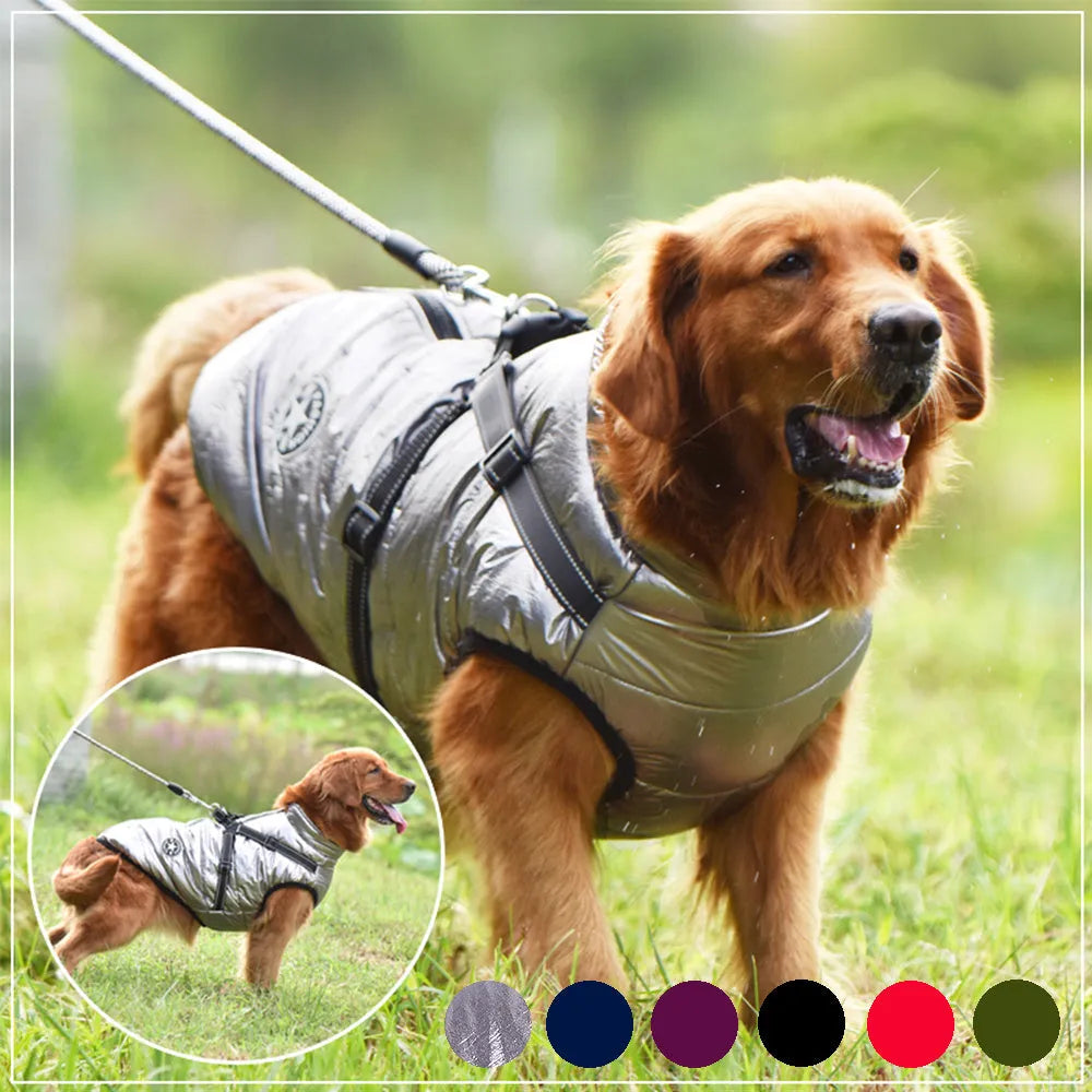 Waterproof dog coat with integrated harness in red colour on Labrador dog