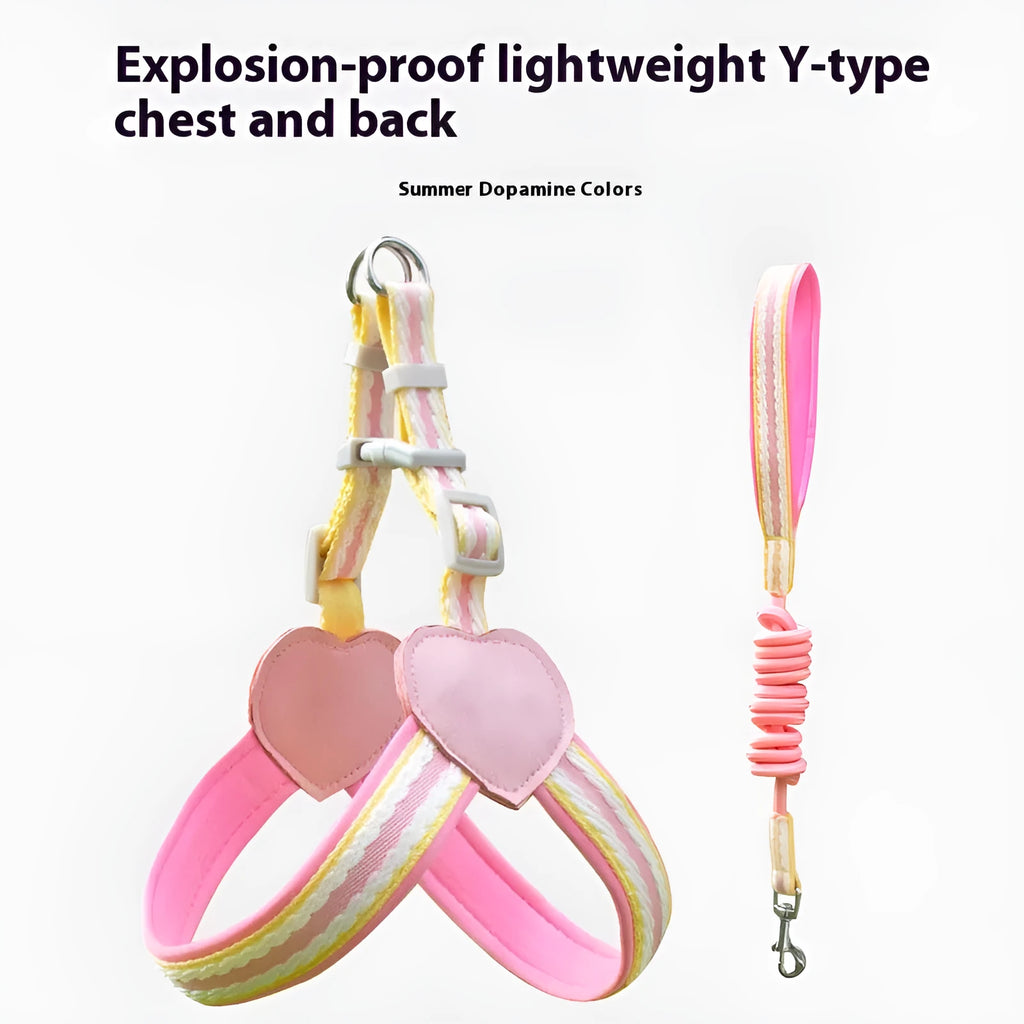 Nylon dog walking chest harness and rope leash in pink, blue, yellow, or green.