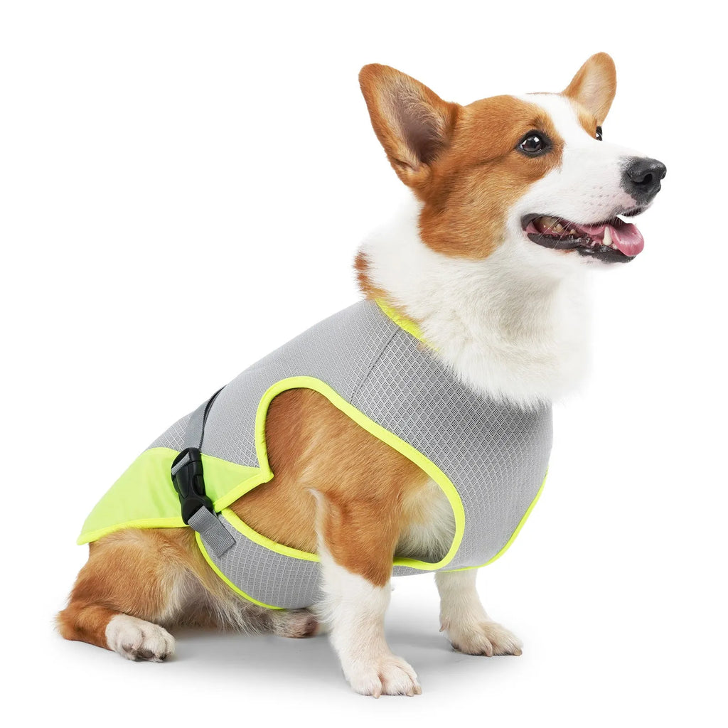 Light grey polyester dog cooling vest for heatstroke prevention shown on a dog
