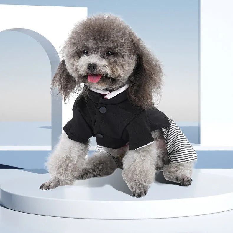 Thin cotton poodle dog clothes in four-legged pants or skirt style for spring, autumn, and summer.
